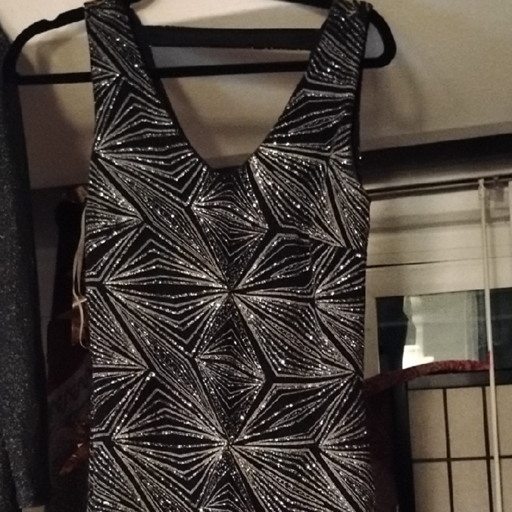 Stunning Black and Silver Mini Dress